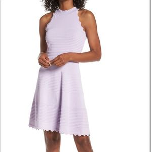 Eliza J Scalloped Fit & Flare Sweater Dress, Lilac, Large